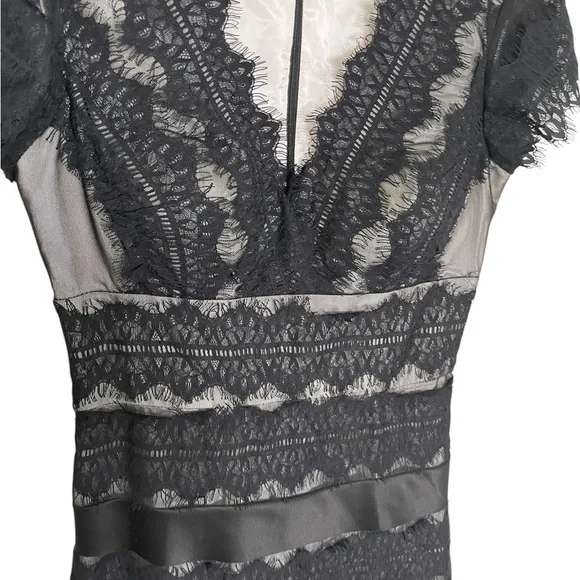 JS Collections Black Lace Nude Cocktail Dress 4 - Picture 2 of 6